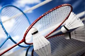 马来西亚羽毛球公开赛等赛事推迟举行 东京奥运会积分赛将延长一个月图片