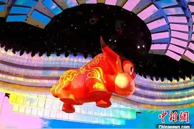 央视春晚与刘德华“同台”沈阳高新区走出多位“明星”图片