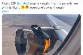 日本停飞32架波音777，去年曾发现相关发动机叶片破损图片