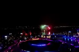 全球最大海洋乐园、米其林餐厅、国际幼儿园……都要来临港了图片