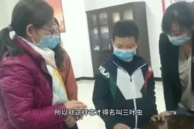 果然视频｜济南10岁男孩捡到“奇怪”的石头，专家鉴定：是化石视频封面