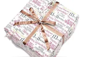 「是日美好事物」Coach腋下包神似枕头蓬松治愈，能打包成礼盒的西装送礼佳选图片