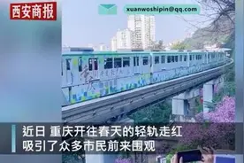 重庆开往春天的轻轨撞上无人机，官方：放飞者已违反相关规定图片