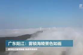 广东阳江：雾锁海陵景色如画视频封面