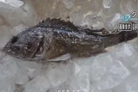 时刻知道丨日本再现超标“辐射鱼”核辐射究竟有多可怕？图片