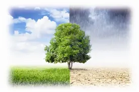 生态环境部：严格执行“两高”项目环评审批原则和准入条件图片