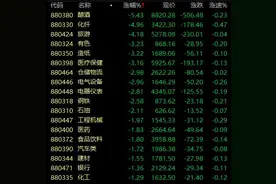 泸州老窖突发跌停，一批机构抱团股砸坑！涨价空间更大的板块龙头来了图片