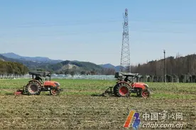 口粮自给率达到40.1% 宁波出台粮油生产高质量发展实施意见图片