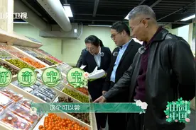 100秒丨迷彩番茄看着“有毒”吃着上瘾 寿光蔬菜小镇的新奇果蔬了解下图片