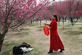 淮南舜耕山梅园成网红打卡地图片