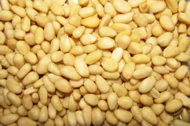 一味药上见功夫，肥五脏！上治脱发，下治便秘，中养肝血图片