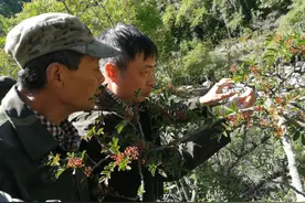 中电十所荣获全国脱贫攻坚先进集体称号图片