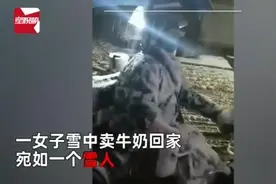 女子半夜雪中卖牛奶回家宛如雪人，连人带车被雪“覆盖”，太心酸图片