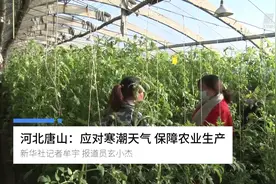 河北唐山：应对寒潮天气 保障农业生产