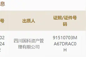 昔日汉龙系变局：股权出质予国资 汉龙集团已注销图片