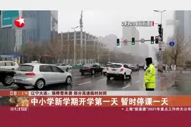 辽宁大连：强降雪来袭  部分高速临时封闭视频封面