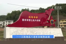 装点此关山 今朝更好看——瑞金市大柏地乡旧貌换新颜