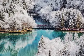 满足这个条件 3月8日、3月15日游四川九寨沟景区免门票图片