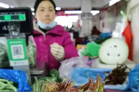 香椿价格降至30元/斤 螺蛳上市每斤5元   “春鲜”来袭，尝鲜正当时图片