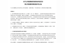 自曝控股股东占用资金逾期未还，惠程科技被ST图片
