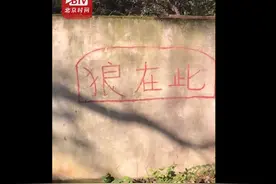 湖北一动物园回应“以狗充狼”：狼已老死，狗无处可放图片