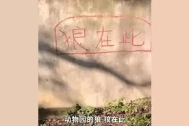 动物园“以狗充狼”惹恼游客，现代版“指鹿为马”？| 沸话图片