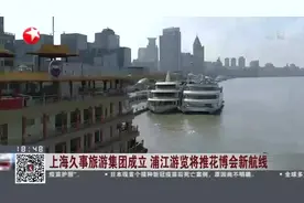 上海久事旅游集团成立  浦江游览将推花博会新航线视频封面