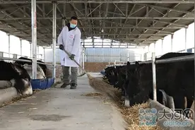 乡村振兴正当时 叶县新丁庄村养殖黑驴奔小康图片
