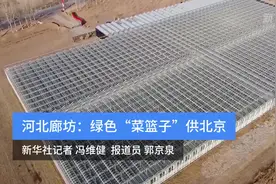 河北廊坊：绿色“菜篮子”供北京视频封面