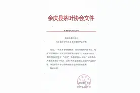 苦丁茶“能治百病”？假的！余庆县茶叶协会辟谣了图片