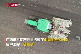 广西柳州甘蔗春耕开启  7.24亿元补贴助蔗农生产机械化视频封面