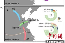 古DNA揭示山东人群跨7700年演化：母系遗传结构具多样性图片