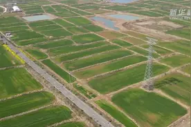 新华全媒+丨惊蛰又“虫”逢，他们缘何忙着给虫子拍“写真”？图片