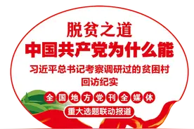 脱贫之道|请总书记放心，乡亲们的日子越过越红火了——记渭源县田家河乡元古堆村的美丽蝶变图片
