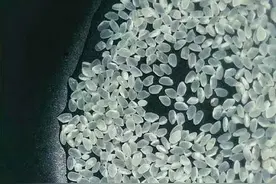 生活是什么图片