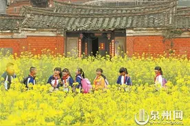 泉州洛江：畅游花海图片