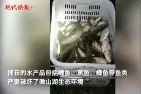 微山湖里一夜电鱼2吨多，7人被抓图片