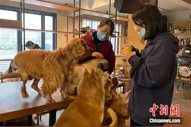 中国都市女青年热衷借“宠”消愁解压 催热宠物经济图片