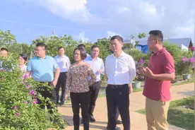 琼海市领导考察盛大现代农业基地图片