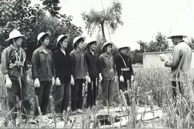 45年前，甘肃有一支“三八女子带电班”图片
