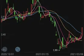 上升到国家战略，10万亿级大市场！这个概念迎利好，两大龙头直线涨停图片