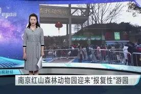 南京红山森林动物园迎来“报复性”游园视频封面