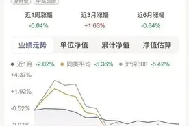 “稳健理财”竟是股票型基金！亏了图片