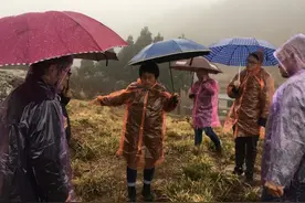 松阳第一高海拔村迎来专家团队 浙江省农科院送科技到地头图片