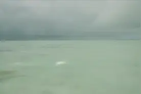 澳大利亚男子在海边钓鱼被鲨鱼攻击 用鱼竿反击将其赶跑图片