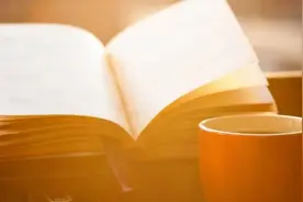 悦读｜结论与摘要有什么不同？图片