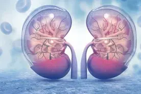 “肾”重！世界肾脏日 你对你的肾了解多少？图片