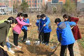 春风十里，绿意萌｜烟台各学校植树节掠影图片