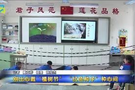 别出心裁“植树节”“红色种子”种心间视频封面