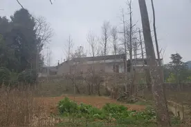 探访庞麦郎老家 父母：他常把自己关在屋里 胡言乱语爱摔东西图片